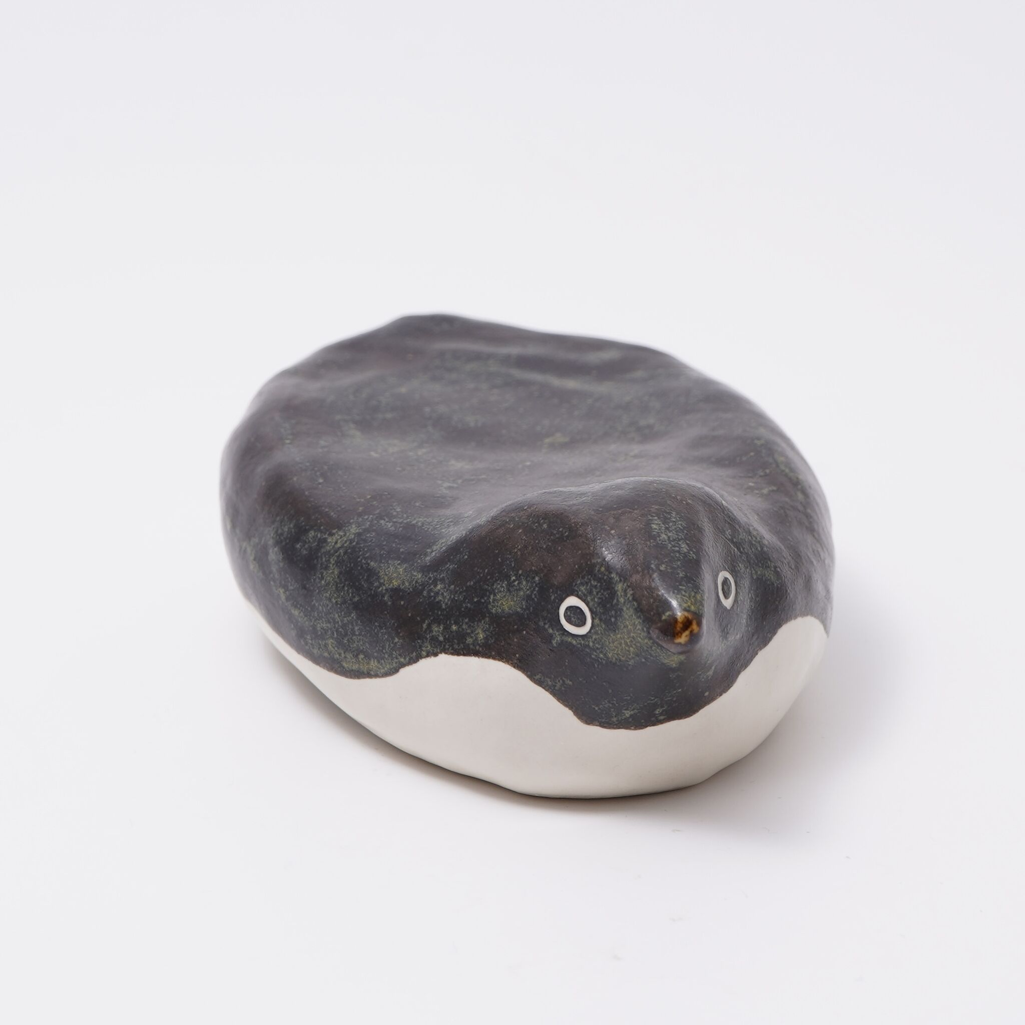 台皿C【販売期間〜12/26】